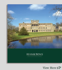 Online Brochure