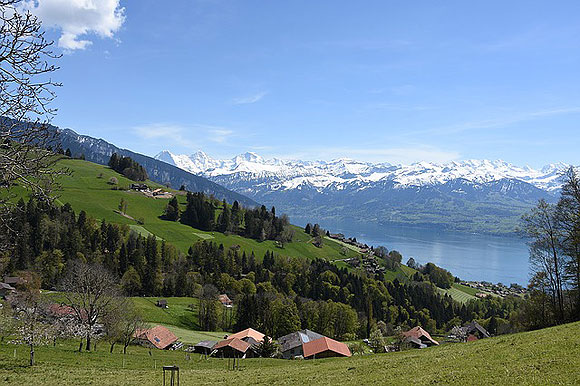 Removals to Switzerland | Living in Thun